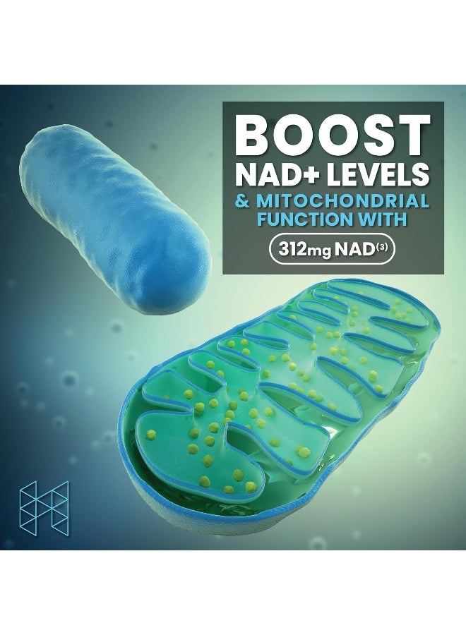 HPN معزز NAD+ (NAD3) مضاد للشيخوخة معزز خلايا مكمل NAD الحقيقي مجدد خلايا 60 كبسولة نباتية - Image 5