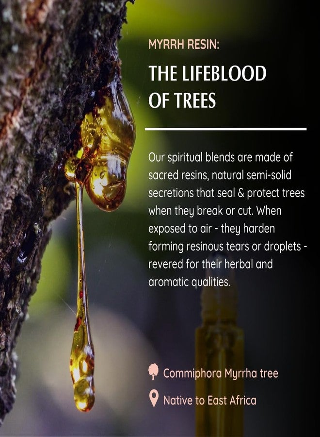 Aromafume Resin((Myrrha) Essential Oil Roll-On Blend by Aromafume | 3 x 6ml / 3 x 0.2 Fl Oz | Made with Commiphora Myrrha, native to East Africa | For meditation, spiritual awakening, prayer and wellness - Image 4
