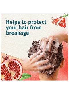 Herbal Essences Herbal Essences Beautiful Ends Split End Protection Shampoo with Juicy Pomegranate Essences, 400ml  - Image 4
