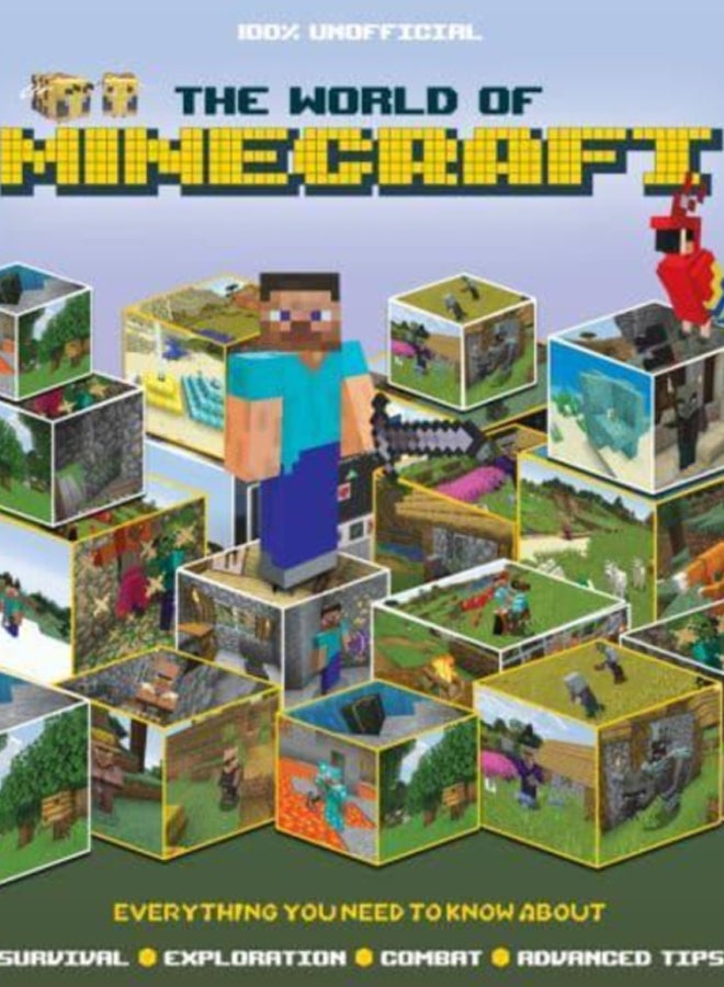 The World of Minecraft