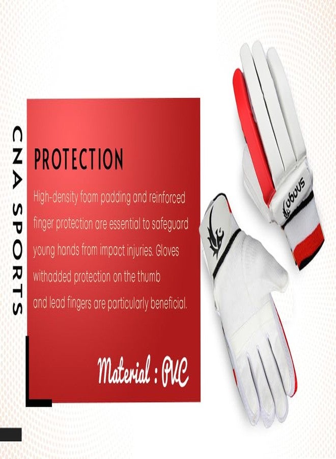 Snaga New Cricket Batting Gloves Right Hand Gloves for Boy - Image 5
