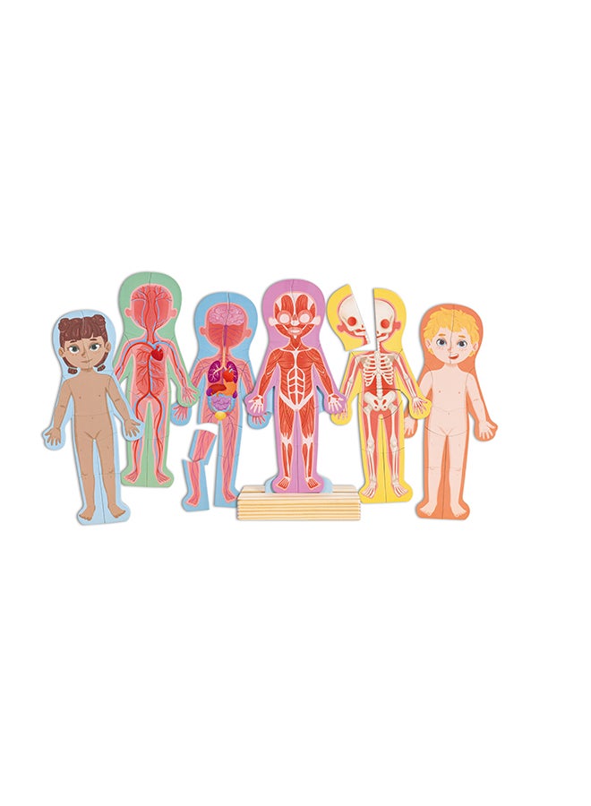 Hape Human Body Magnetic Puzzle |Identify Human Body Parts|Toddler Brain Development |Learning Puzzle | Toys for Toddlers & Kids | School Toys | 68 pcs |  Sustainable Toys FSC Certified - Image 1
