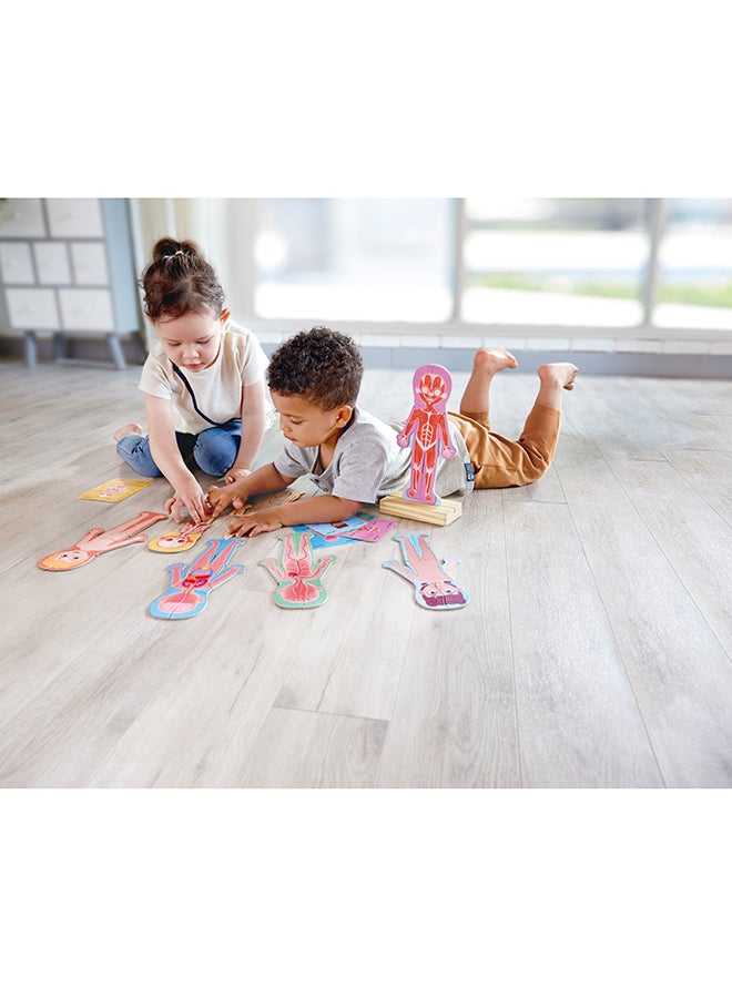 Hape Human Body Magnetic Puzzle |Identify Human Body Parts|Toddler Brain Development |Learning Puzzle | Toys for Toddlers & Kids | School Toys | 68 pcs |  Sustainable Toys FSC Certified - Image 2