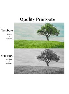 xerox XE3210B  COMPATIBLE TONER  - Image 2