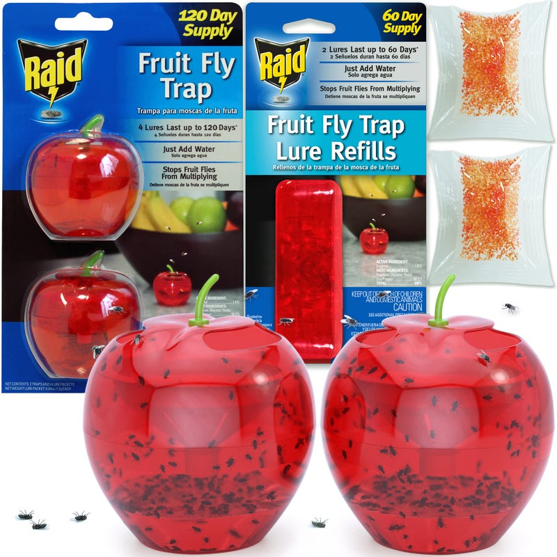 RAID Fruit Fly Traps for Indoors by Raid | 2 Lures + 2 Refills | Effective Fruit Fly Trap for Indoor Use | Fruit Fly Killer & Gnat Traps for House Indoor | Easy to Use & Safe Food-Based Lure Fly Catcher - Image 1