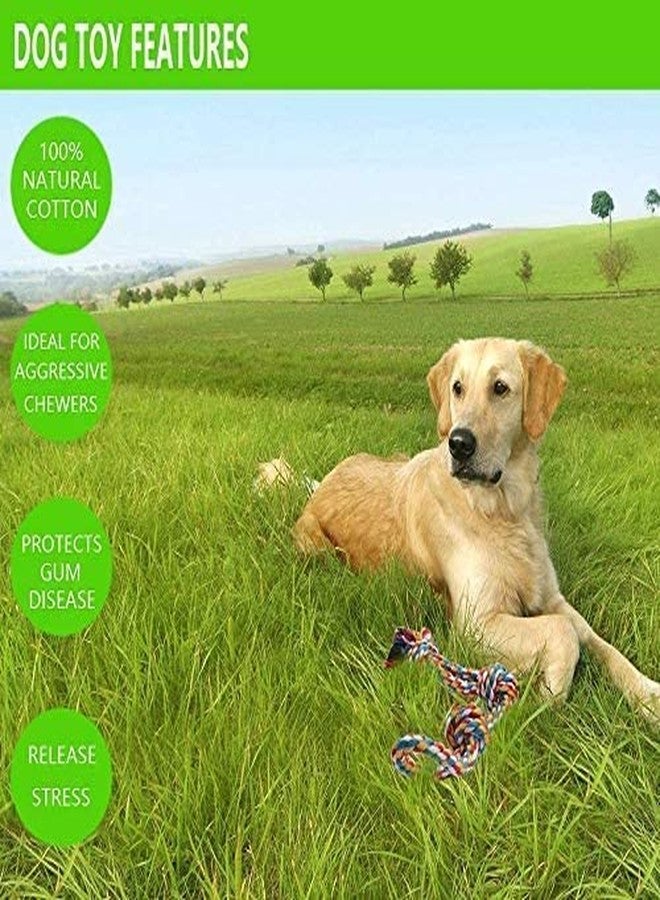 KittuPet ألعاب كيتو بيت للكلاب التي تمضغ بقوة - مجموعة من قطعتين من ألعاب حبل الكلاب شديدة التحمل بحجم XL للجراء من السلالات الكبيرة - الكلاب المتوسطة والكبيرة للمضغ والتسنين وشد الحبل (قد يختلف اللون) - Image 3
