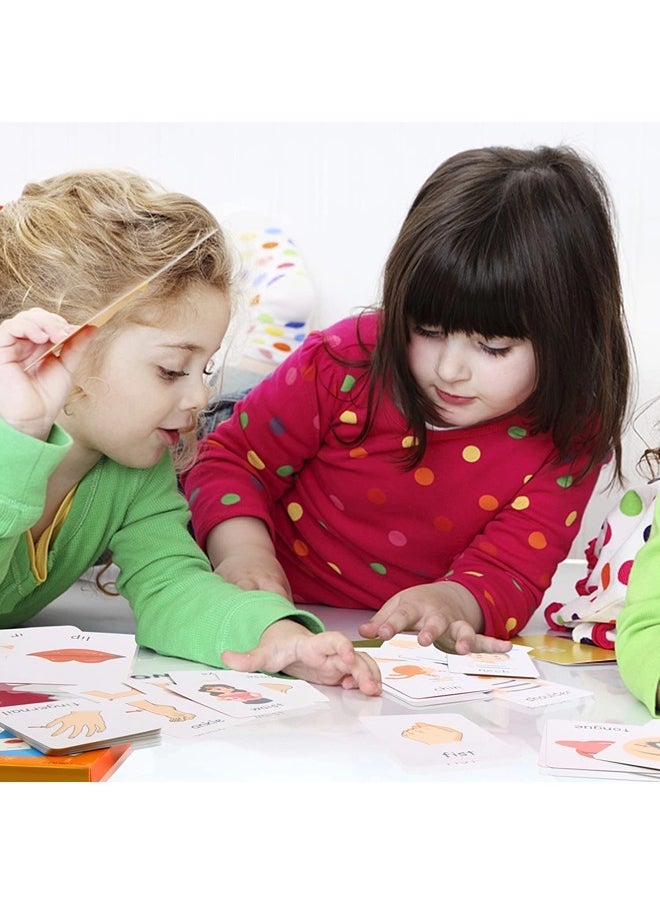 ShebSheb - Flash Cards for Toddlers Learn Fruits English Word Fun Learning and Educational Flashcards- 36 Picture Cards - Image 1