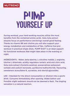 NUTREND Pump Shot - Pre-Workout -  Blackberry & Lime Flavor - 20 x 60 ml - Caffeine Free pre-workout - Sugar free - Boosts Energy & Performance  - Image 2