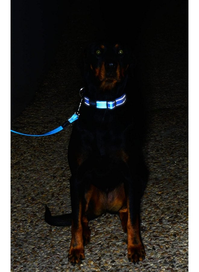 Rogz Reflective Dog Leash for Small Dogs, 3/8" wide, 6' long, Red - Image 3