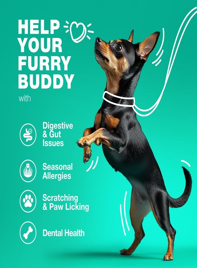 CHEWIA Probiotics for Dogs Gut Health, Digestion, Immunity, Yeast Balance, Itchy Skin, Allergies Support - Dog Probiotic Chews with Digestive Enzymes for Gut Flora- Soft Treats with Pumpkin and Yeast Powder - Image 5