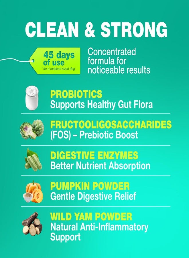CHEWIA Probiotics for Dogs Gut Health, Digestion, Immunity, Yeast Balance, Itchy Skin, Allergies Support - Dog Probiotic Chews with Digestive Enzymes for Gut Flora- Soft Treats with Pumpkin and Yeast Powder - Image 2