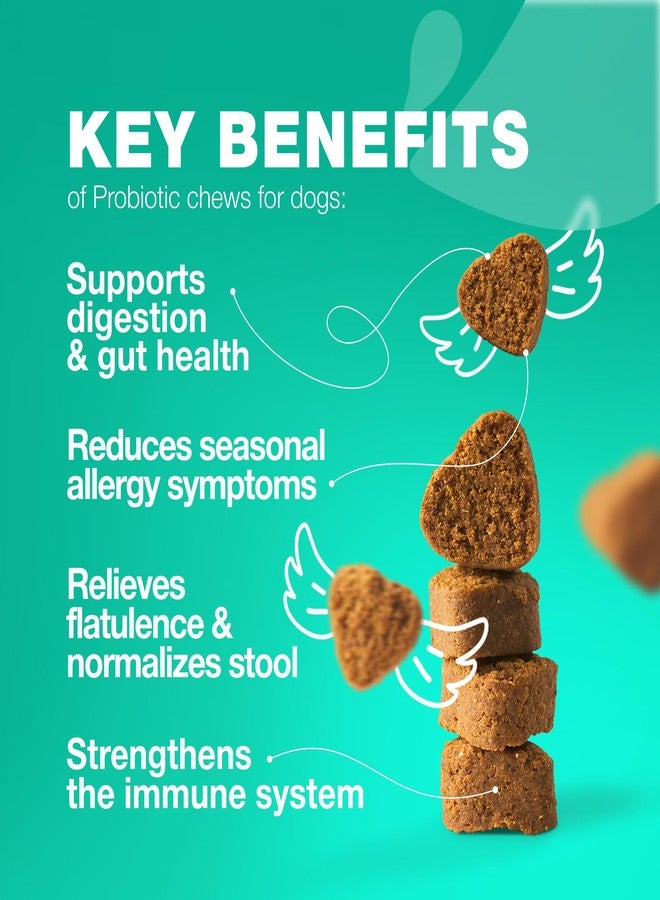 CHEWIA Probiotics for Dogs Gut Health, Digestion, Immunity, Yeast Balance, Itchy Skin, Allergies Support - Dog Probiotic Chews with Digestive Enzymes for Gut Flora- Soft Treats with Pumpkin and Yeast Powder - Image 3