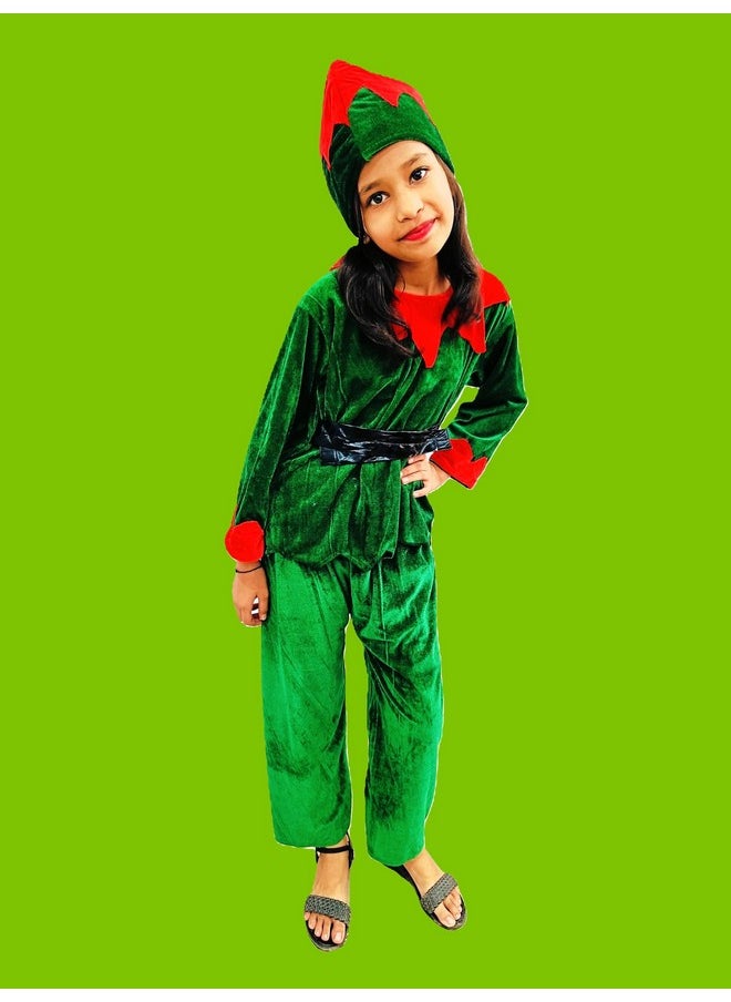 BookMyCostume BookMyCostume Santa's Elf Christmas Movie Character Kids Fancy Dress Costume 4-5 Years 