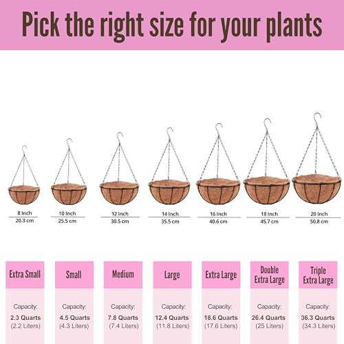 LáLáGreen LaLaGreen Hanging Planters for Outdoor Plants (2 Pack, 12 Inch) Hanging Baskets with Coco Liner Flower Pots, Metal Wire Round Plant Holder Hanger Hook Chain Deck Porch Garden Balcony Farmhouse Decor - Image 3