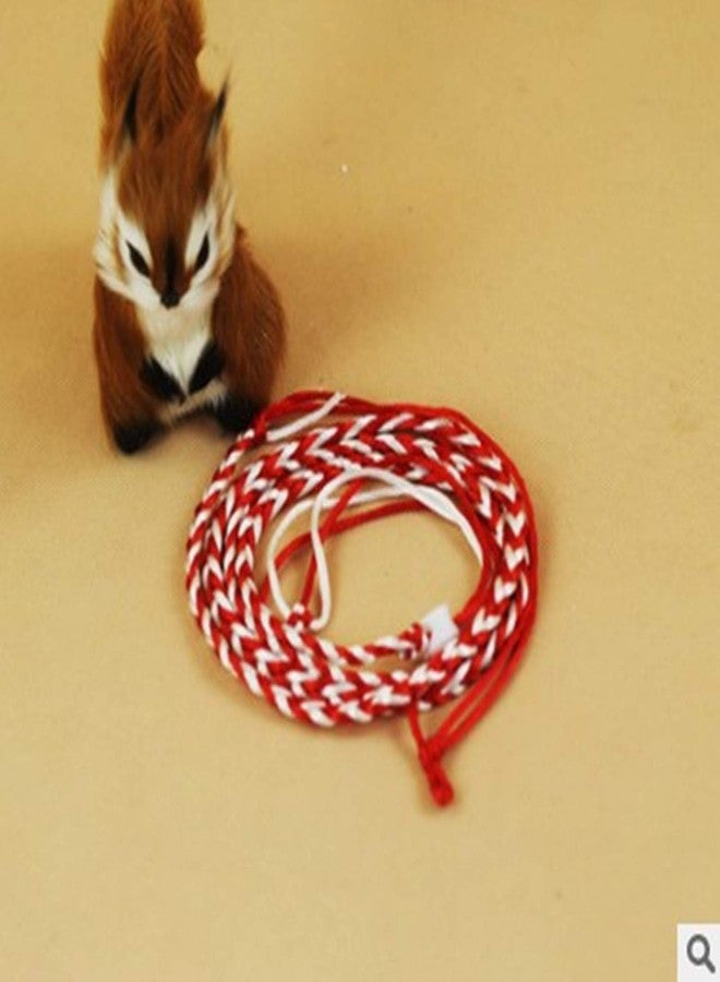 زيتوب حبل مقود للحيوانات الصغيرة من زيتوب، قطعة واحدة، مناسب للهامستر والجرذان والفئران، قابل للتعديل - Image 4