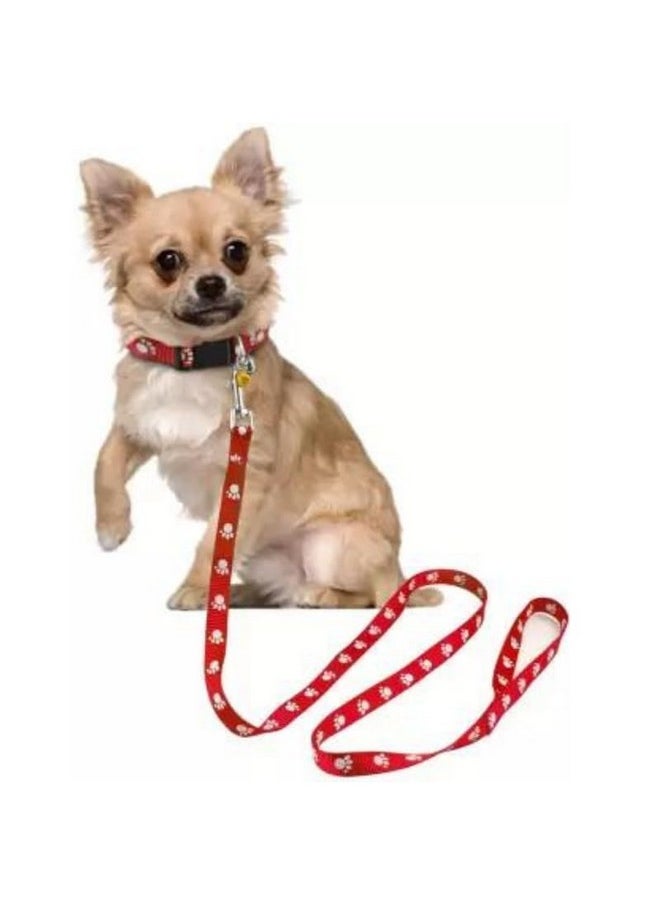PET Dog Collar And Leash Set Puppy Printed, Adjustable Nylon Collar With Leash For Cat And Puppy, Quick Release And Breathable Collar Set For Puppies, Dog & Cat 10 Mm  - Image 2