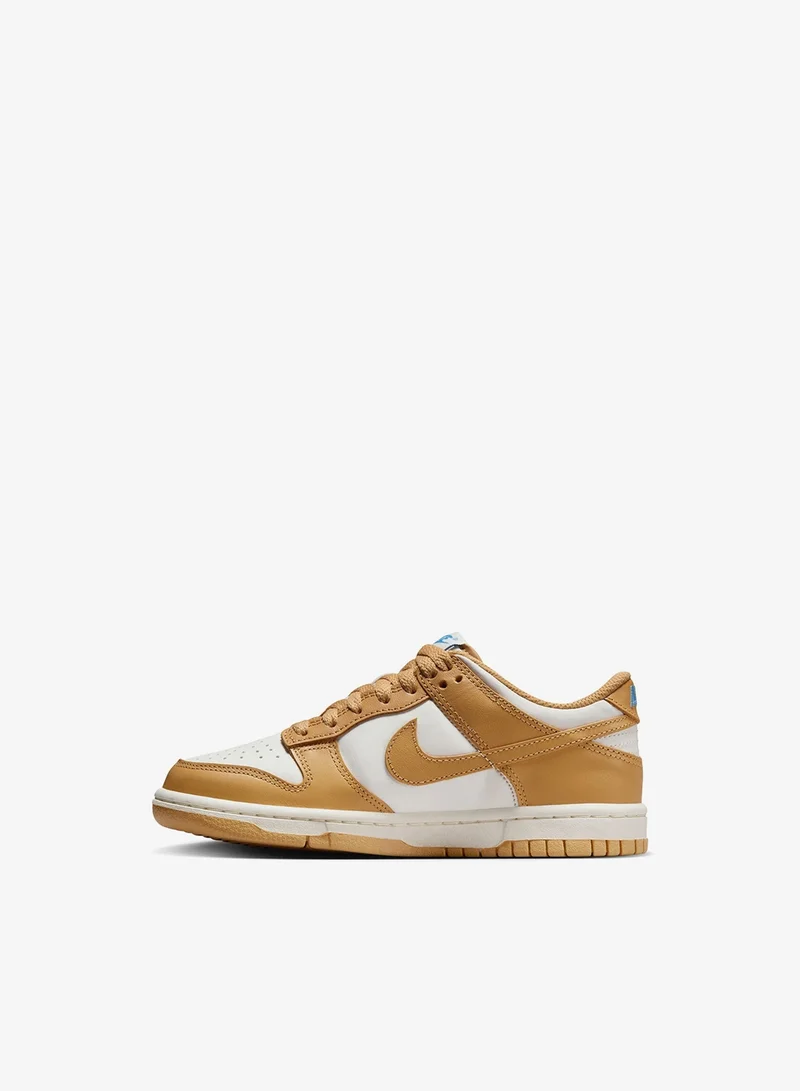 Nike Youth Dunk Low Bg