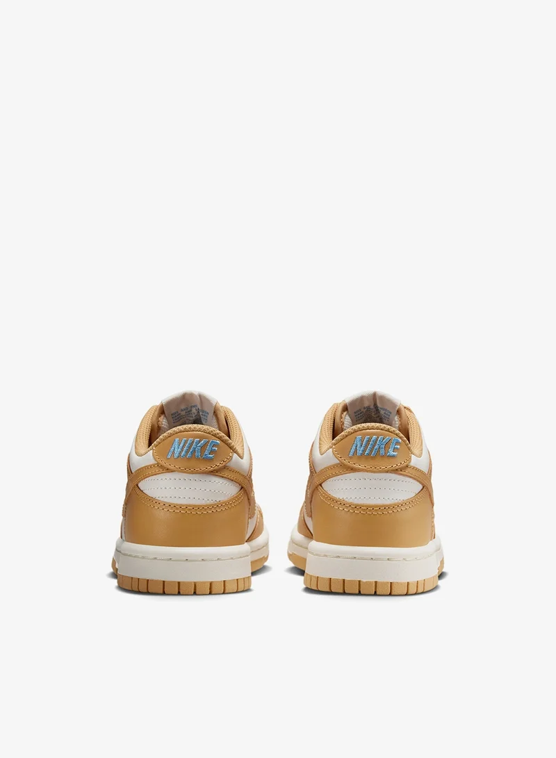Nike Youth Dunk Low Bg