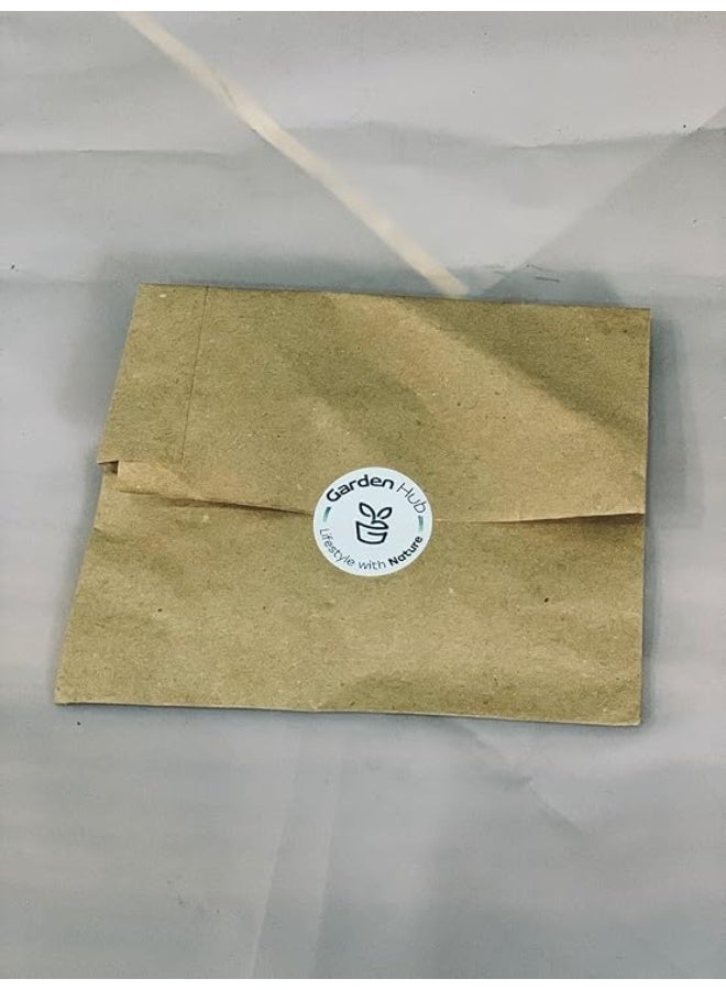 Natural Luffa Seeds - Image 2