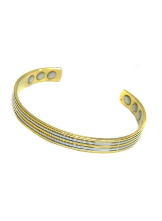 Gold/ Silver