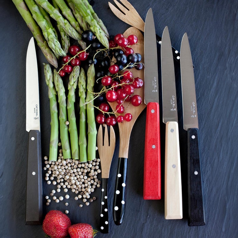 Opinel No. 125 Table Knives, 4 Piece Set, High Carbon Steel Dinner Knives for Parties, Entertaining, or Everyday Use, Painted Hornbeam Handles, Made in France (Loft) - Image 3