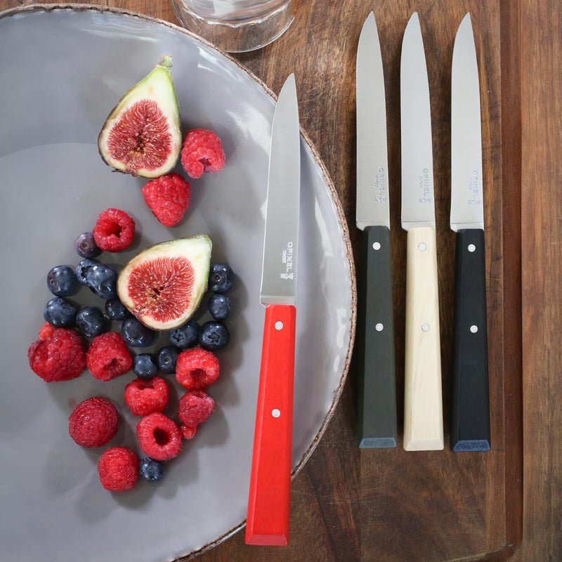 Opinel No. 125 Table Knives, 4 Piece Set, High Carbon Steel Dinner Knives for Parties, Entertaining, or Everyday Use, Painted Hornbeam Handles, Made in France (Loft) - Image 5