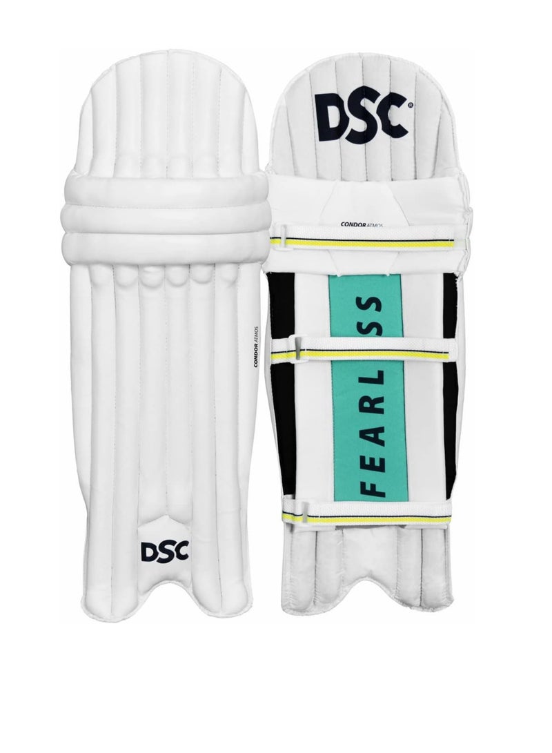 دي أس سي مجموعة كاملة ممتازة مع طقم خوذة الكريكيت مقاس 5 - Image 4