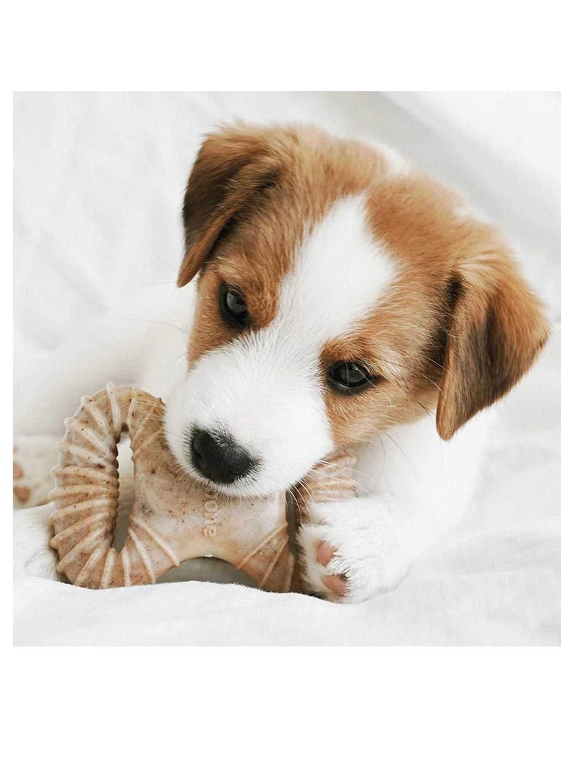 Benebone Puppy Dental Chew Wishbone Playing Toy Tiny 2 In Pack - Image 1