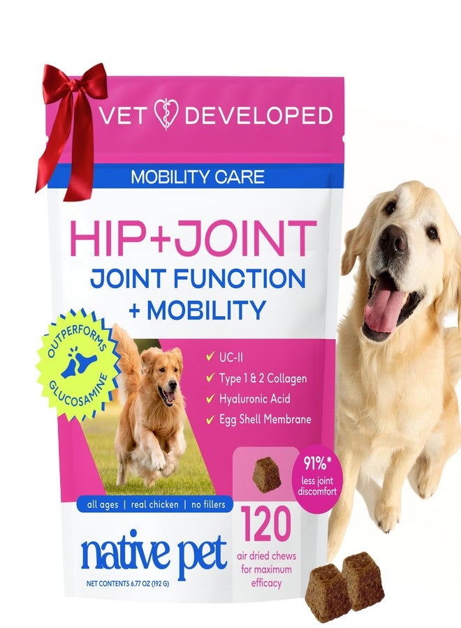 Native Pet Hip & Joint Supplement for Dogs - Advanced Dog Joint & Arthritis Supplement - Helps Maintain Healthy Cartilage, Joint Flexibility, Lubrication, & Function - with ESM & Collagen - 120 Chews - Image 1