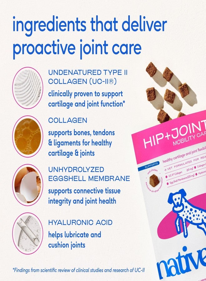Native Pet Hip & Joint Supplement for Dogs - Advanced Dog Joint & Arthritis Supplement - Helps Maintain Healthy Cartilage, Joint Flexibility, Lubrication, & Function - with ESM & Collagen - 120 Chews - Image 3