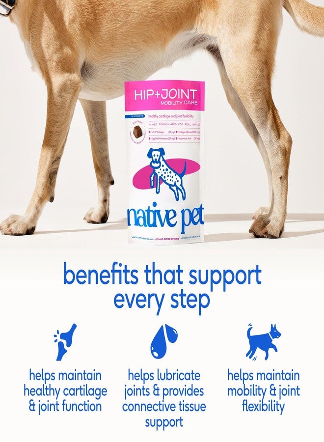 Native Pet Hip & Joint Supplement for Dogs - Advanced Dog Joint & Arthritis Supplement - Helps Maintain Healthy Cartilage, Joint Flexibility, Lubrication, & Function - with ESM & Collagen - 120 Chews - Image 2