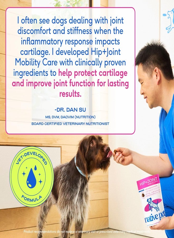 Native Pet Hip & Joint Supplement for Dogs - Advanced Dog Joint & Arthritis Supplement - Helps Maintain Healthy Cartilage, Joint Flexibility, Lubrication, & Function - with ESM & Collagen - 120 Chews - Image 5