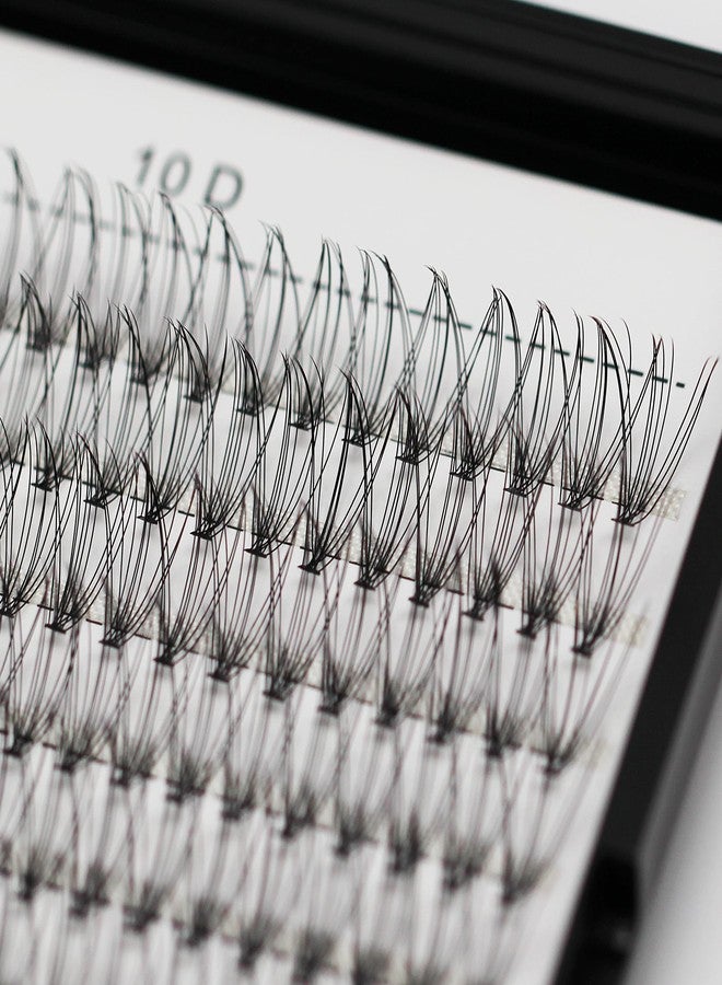 Bodermincer Large Tray D Curl 12 Rows 240 Bundles 10D Cluster Eyelash Extension Natural Russian Volume Faux Cils Eyelashes Individual Cluster False Lashes Makeup 6-20mm to Choose (8mm) - Image 5