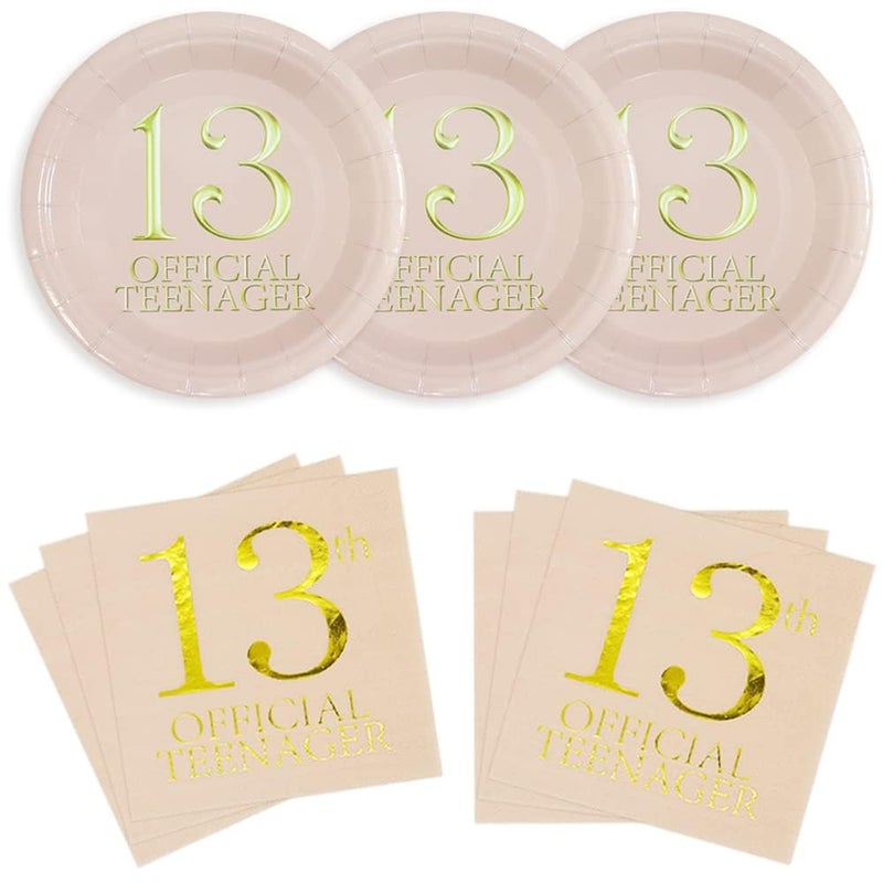 Pandecor Birthday Party Plates and Napkins Party Supplies Set Serve up to 20 Guests 13 years old
