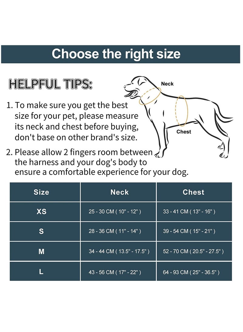 SOLARAE Lightweight Dog Harness Adjustable Durable Breathable Mesh Pet Vest Harness With Soft And Comfortable Cushion, Easy To Clean, For Small Medium Large Dogs S, Navy - Image 4