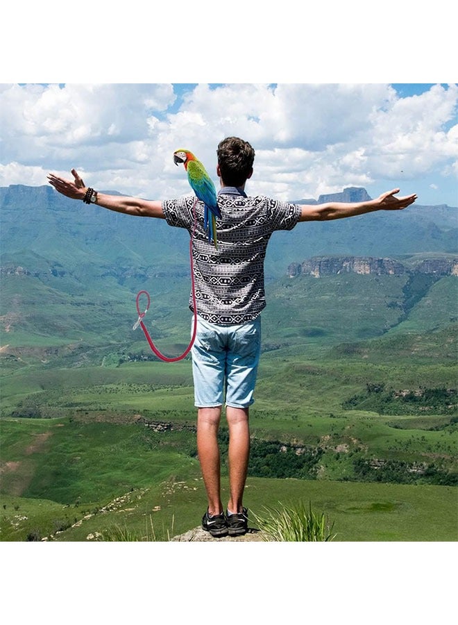 Realfrog Bird Flying Rope, Parrot Flying Rope, Elastic Outdoor Bird Training Rope, Pet Bird Training Rope Suitable For Scarlet, Keck, Macaw And Birds Of The Same Size, 5 Meters With 3 Parrot Foot Rings  - Image 4