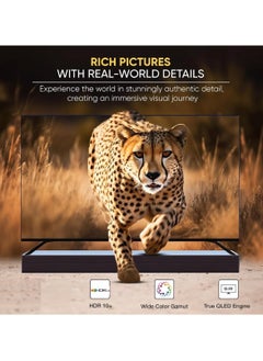SREEN Sreen 65 Inch 4K QLED Smart TV, WebOS, HDMI, USB, Frameless Monitor, Black - SRET-65S4KWQ1  - Image 4