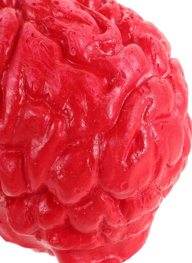 DOITOOL 2PCS Realistic Brain Halloween Horror Props - Plastic Bloody Body Parts Fake Brain for Party Decoration Funny Brainrot Halloween Accessories - Image 4