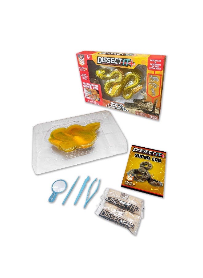 Slimy Lab Dissect-It Rattlesnake Super Lab Synthetic Dissection Kit (35 Pieces) - Image 2