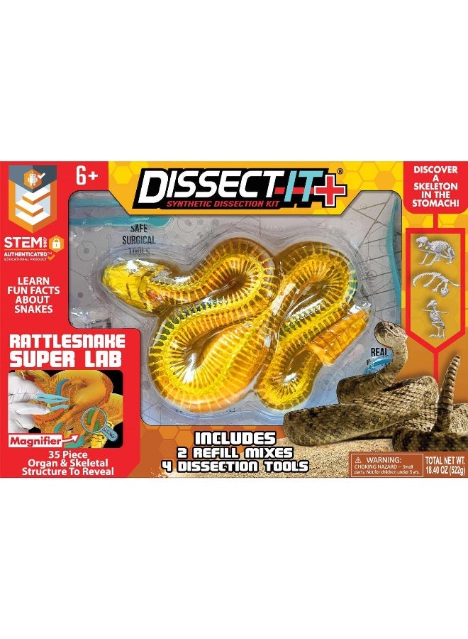 Slimy Lab Dissect-It Rattlesnake Super Lab Synthetic Dissection Kit (35 Pieces) - Image 1