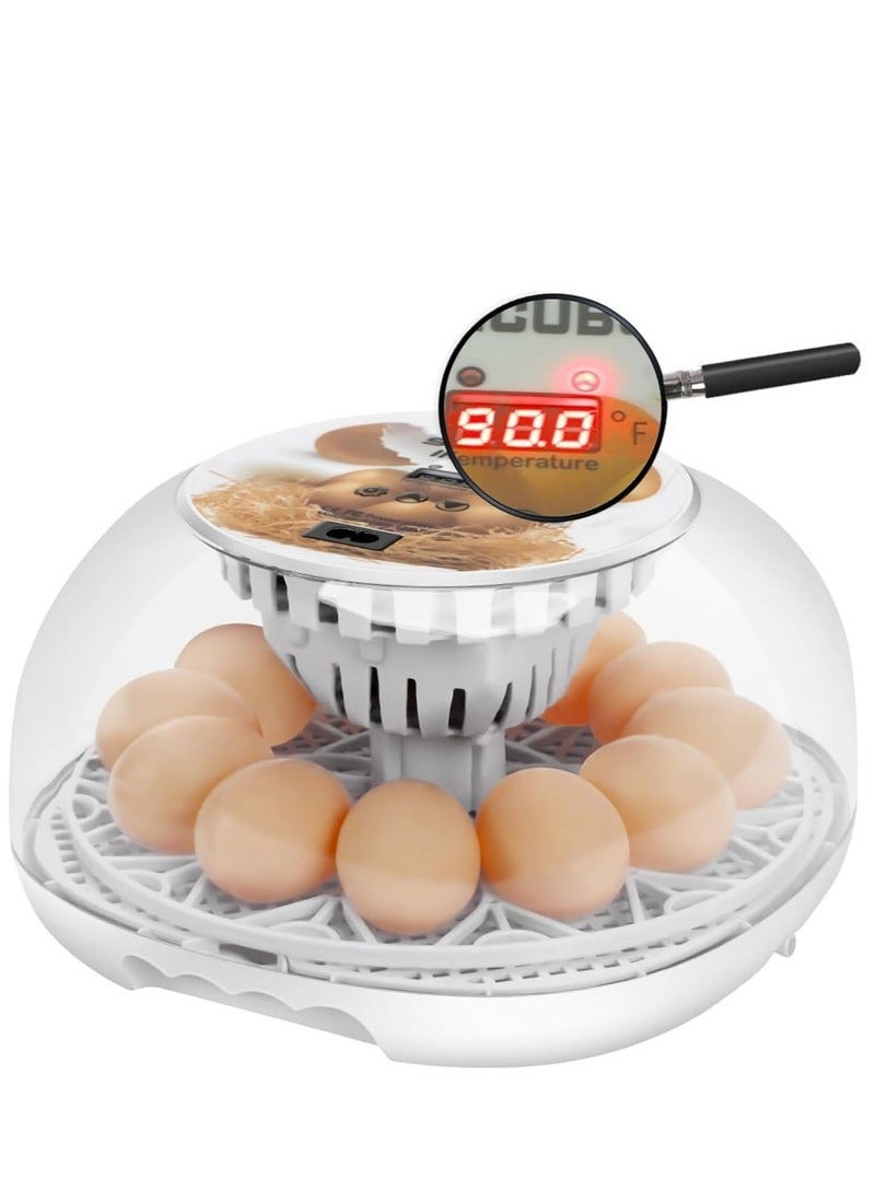 Generic Egg Incubator for Hatching with Automatic Egg Turning Led Egg Test Lamp Clear Lid Easy to Wash 12 Eggs Poultry Hatcher Farm Bird Quail Chicken Poultry Farm Hatcher Turner Incubation Tools  - Image 1