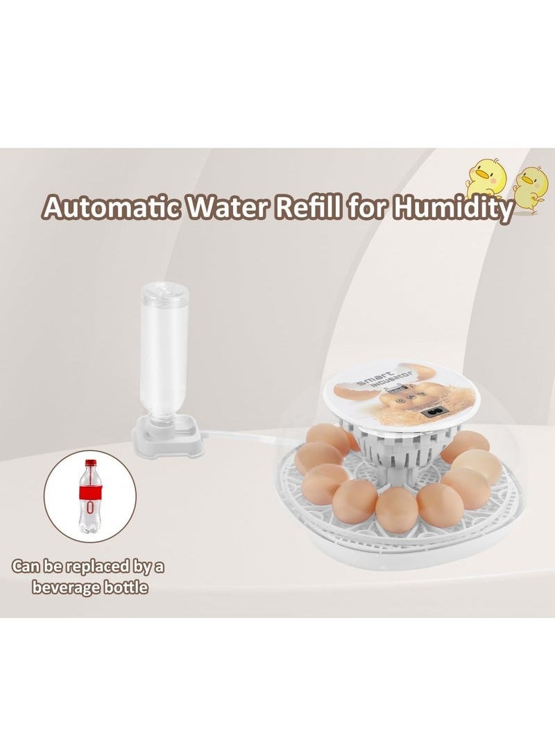 Generic Egg Incubator for Hatching with Automatic Egg Turning Led Egg Test Lamp Clear Lid Easy to Wash 12 Eggs Poultry Hatcher Farm Bird Quail Chicken Poultry Farm Hatcher Turner Incubation Tools  - Image 3