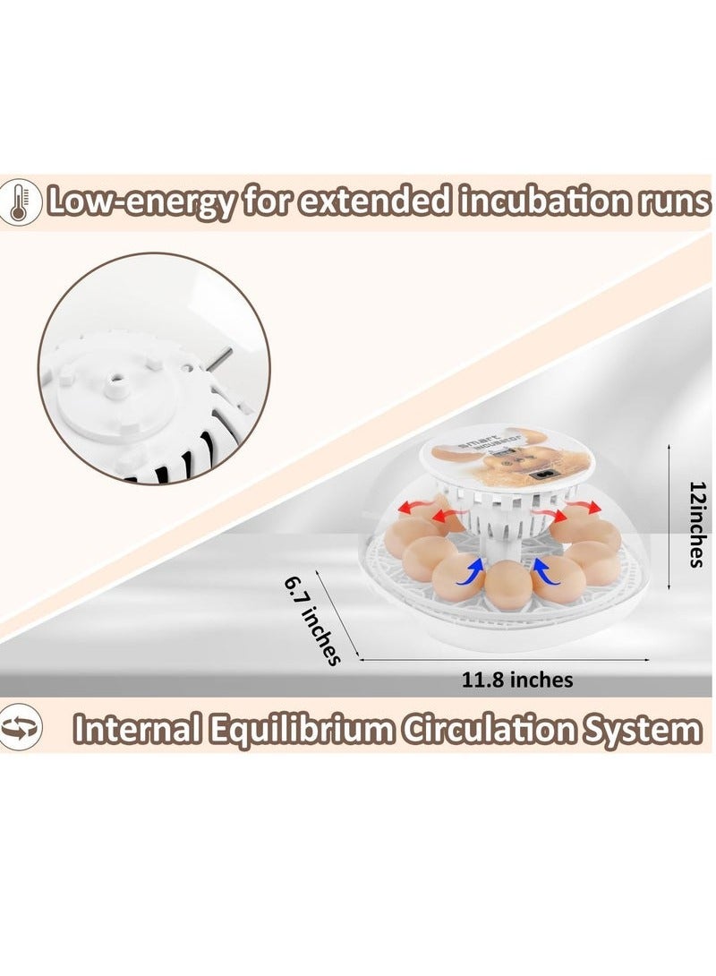 Generic Egg Incubator for Hatching with Automatic Egg Turning Led Egg Test Lamp Clear Lid Easy to Wash 12 Eggs Poultry Hatcher Farm Bird Quail Chicken Poultry Farm Hatcher Turner Incubation Tools  - Image 4
