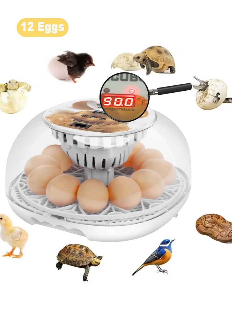 Generic Egg Incubator for Hatching with Automatic Egg Turning Led Egg Test Lamp Clear Lid Easy to Wash 12 Eggs Poultry Hatcher Farm Bird Quail Chicken Poultry Farm Hatcher Turner Incubation Tools - Image 1