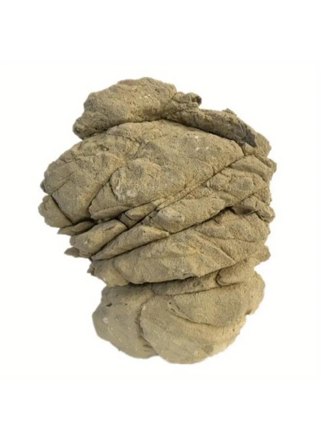 Turtle Stone 1kg - Image 5