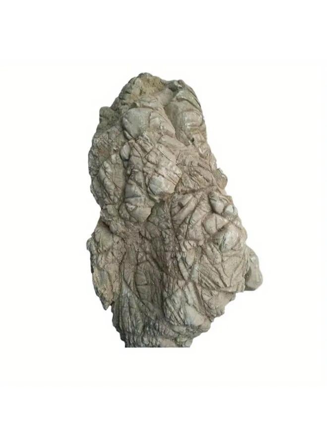 Turtle Stone 1kg - Image 2