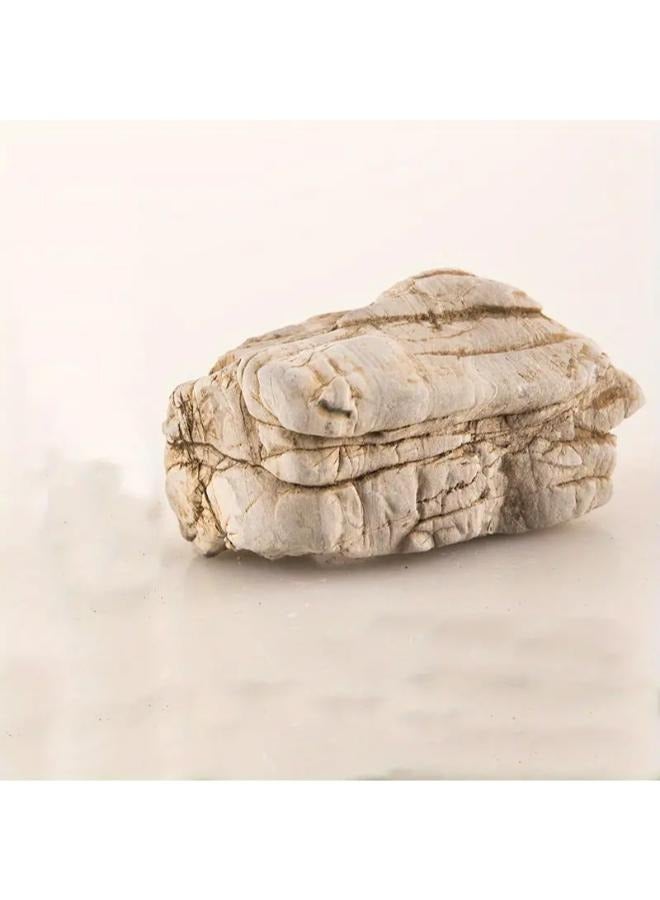 Turtle Stone 1kg - Image 4