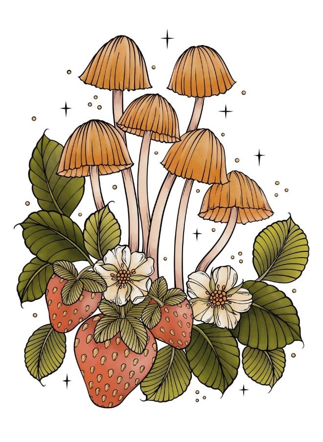 Dover Creative Haven The Art of Mushrooms Coloring Book - pzsku/Z11C5174B603F2DFEE4C7Z/45/_/1737873639/cfb36e66-0c50-4614-af1f-e262c3b1b6c3