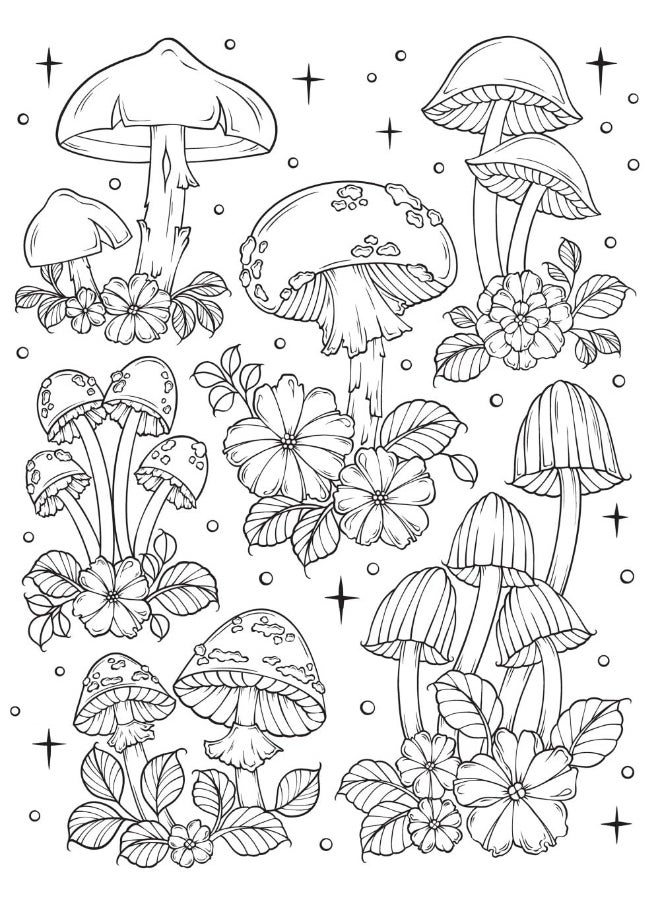 Dover Creative Haven The Art of Mushrooms Coloring Book - pzsku/Z11C5174B603F2DFEE4C7Z/45/_/1737873644/c054b04a-9c04-4d5c-961b-dba88cbefe17