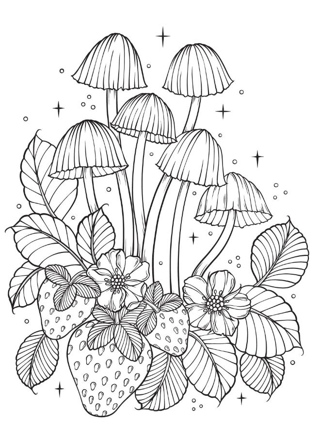 Dover Creative Haven The Art of Mushrooms Coloring Book - pzsku/Z11C5174B603F2DFEE4C7Z/45/_/1737873646/221b8dec-29a0-41a6-9211-6000edac5004